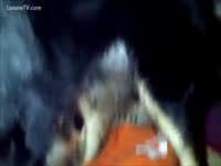 Animal sex clips with a dog